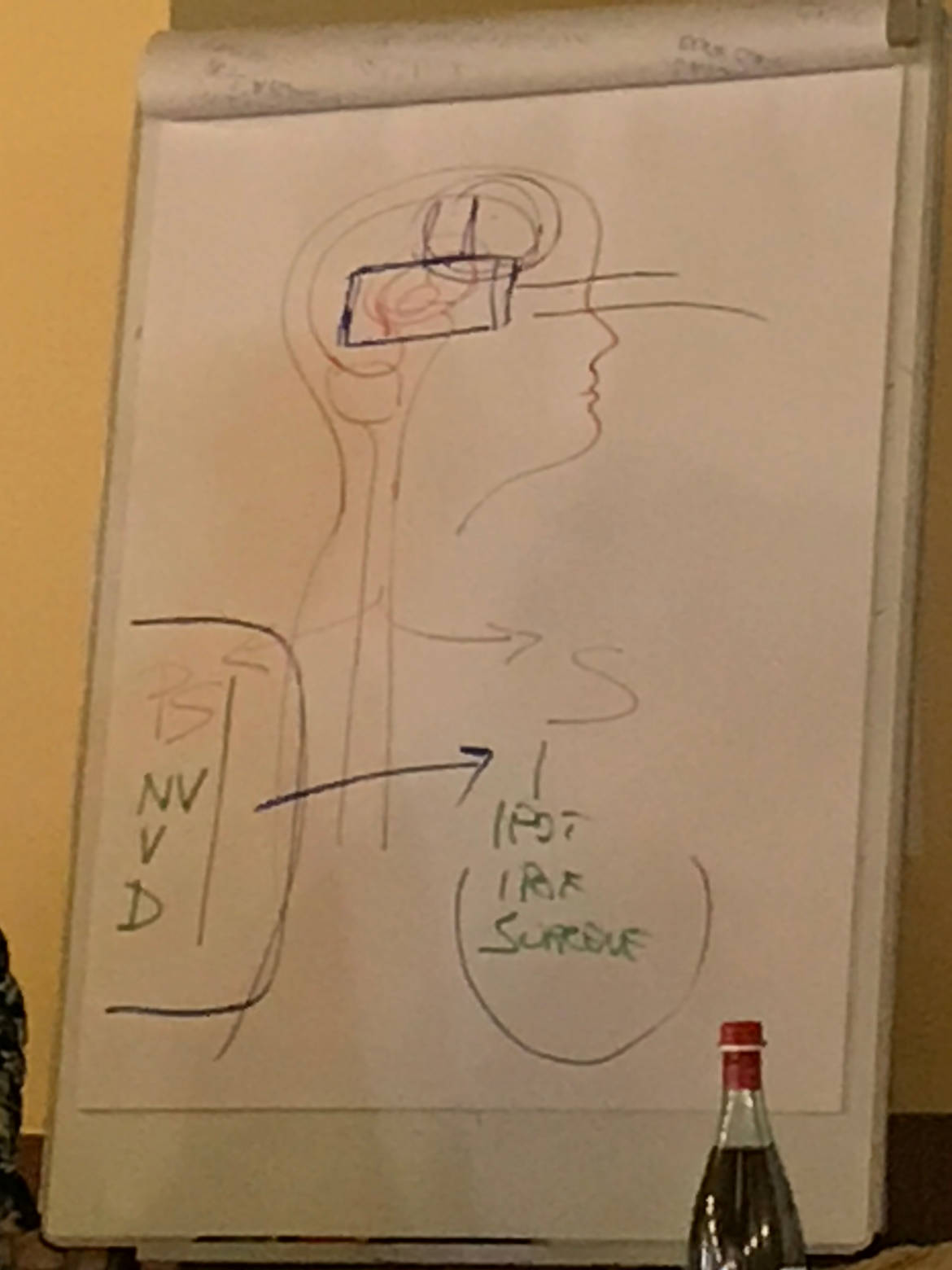 poli1.jpg